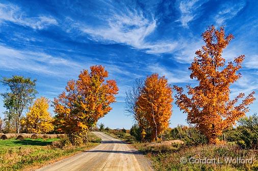 Autumn Back Road_17915.jpg - Photographed near Westport, Ontario, Canada.